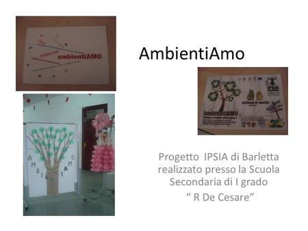 AmbientiAmo Progetto IPSIA di Barletta realizzato presso la Scuola Secondaria di I grado R De Cesare.