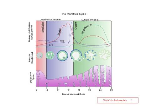 Il ciclo mestruale è determinato dalla interazione di diversi ormoni.