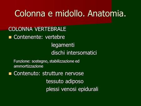 Colonna e midollo. Anatomia.