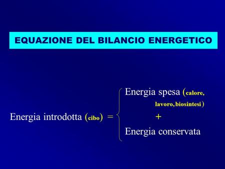 EQUAZIONE DEL BILANCIO ENERGETICO