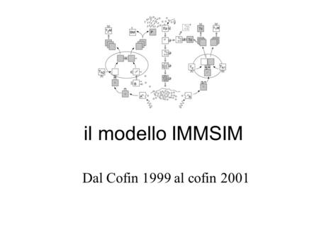 Il modello IMMSIM Dal Cofin 1999 al cofin 2001.