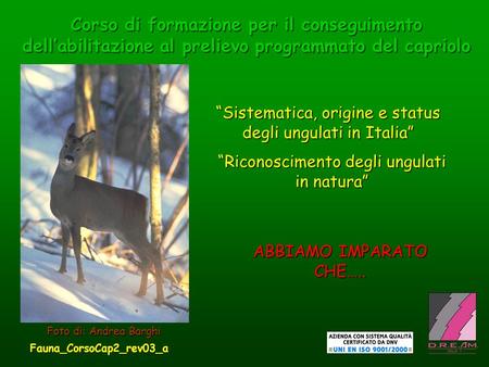 “Sistematica, origine e status degli ungulati in Italia”