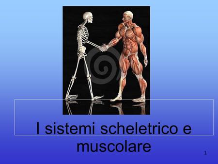 I sistemi scheletrico e muscolare