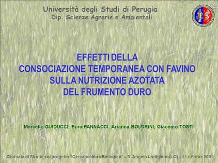 Università degli Studi di Perugia Dip. Scienze Agrarie e Ambientali