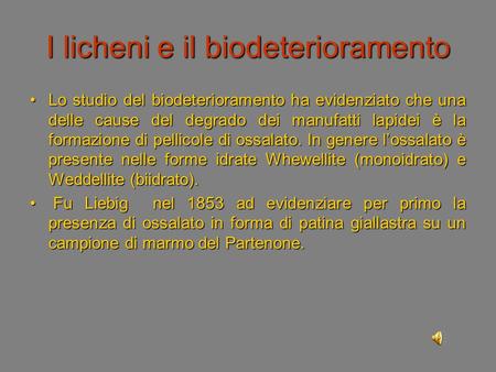 I licheni e il biodeterioramento