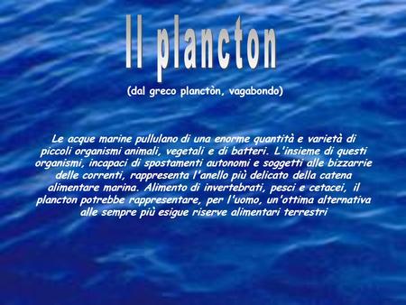 Il plancton (dal greco planctòn, vagabondo)