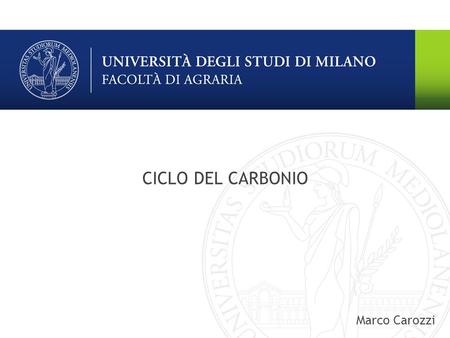 CICLO DEL CARBONIO Marco Carozzi.