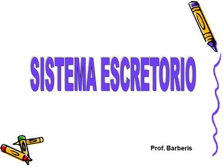SISTEMA ESCRETORIO Prof. Barberis.