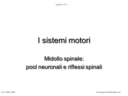 Midollo spinale: pool neuronali e riflessi spinali