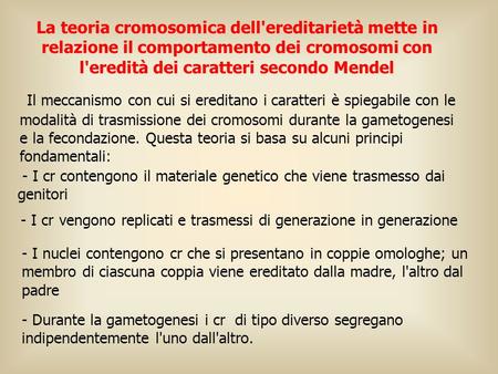 La teoria cromosomica dell'ereditarietà mette in relazione il comportamento dei cromosomi con l'eredità dei caratteri secondo Mendel  Il meccanismo con.