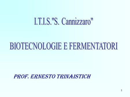 Prof. Ernesto Trinaistich