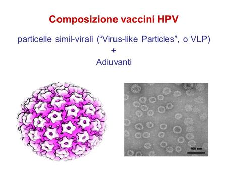Composizione vaccini HPV