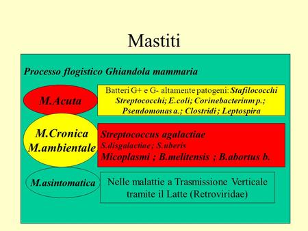 Mastiti M.Acuta M.Cronica M.ambientale