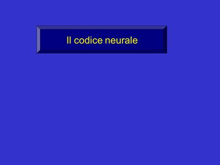 Il codice neurale.