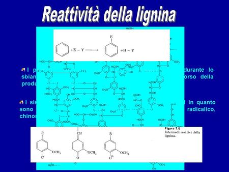 Reattività della lignina
