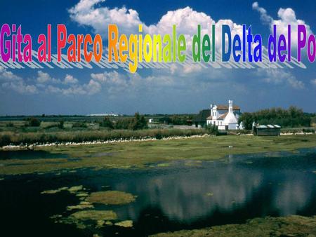 Gita al Parco Regionale del Delta del Po