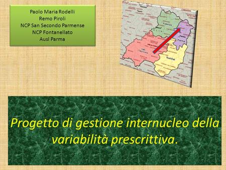 Progetto di gestione internucleo della variabilità prescrittiva. Paolo Maria Rodelli Remo Piroli NCP San Secondo Parmense NCP Fontanellato Ausl Parma Paolo.