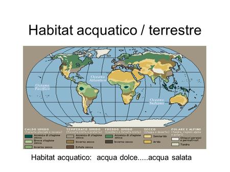 Habitat acquatico / terrestre