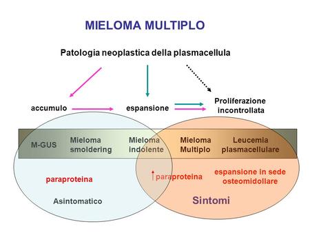 MIELOMA MULTIPLO Sintomi Patologia neoplastica della plasmacellula