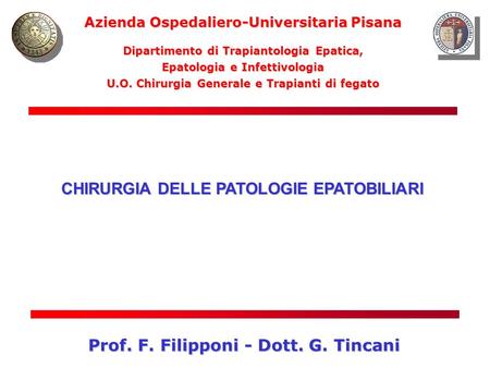 Prof. F. Filipponi - Dott. G. Tincani