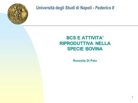 Università degli Studi di Napoli - Federico II