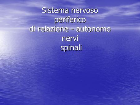 Sistema nervoso periferico di relazione - autonomo nervi spinali