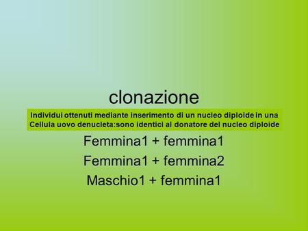 Clonazione Femmina1 + femmina1 Femmina1 + femmina2 Maschio1 + femmina1 Individui ottenuti mediante inserimento di un nucleo diploide in una Cellula uovo.