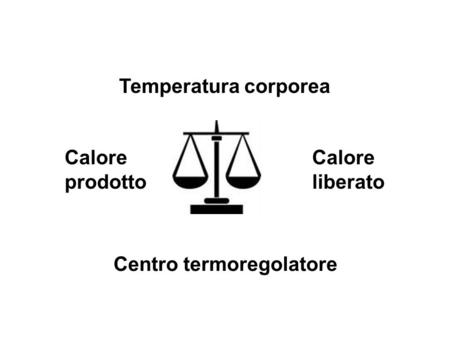 Temperatura corporea Calore prodotto Calore liberato