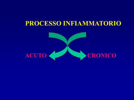 PROCESSO INFIAMMATORIO