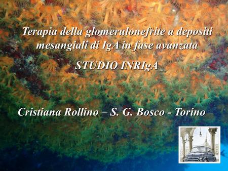 Cristiana Rollino – S. G. Bosco - Torino