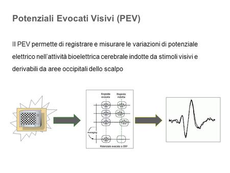 Potenziali Evocati Visivi (PEV)