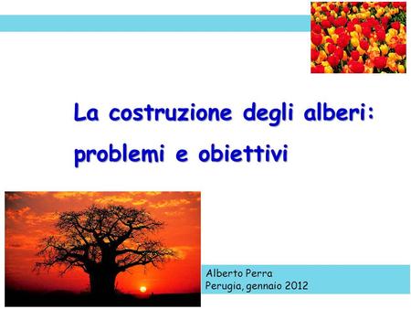 La costruzione degli alberi: problemi e obiettivi