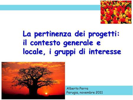 La pertinenza dei progetti: il contesto generale e locale, i gruppi di interesse Alberto Perra Perugia, novembre 2011.