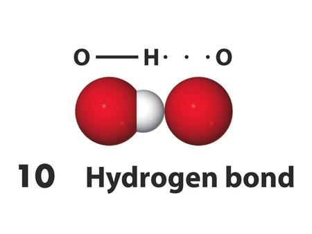 Legame idrogeno in H2O. legame idrogeno in H2O.