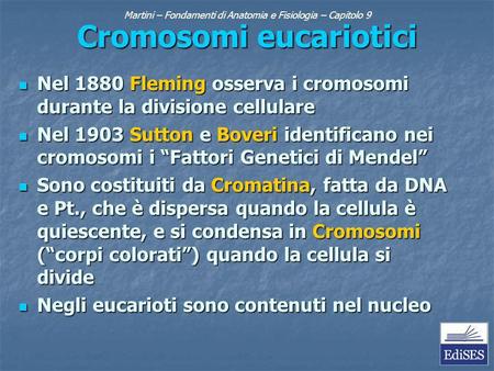 Martini – Fondamenti di Anatomia e Fisiologia – Capitolo 9 Cromosomi eucariotici Nel 1880 Fleming osserva i cromosomi durante la divisione cellulare Nel.