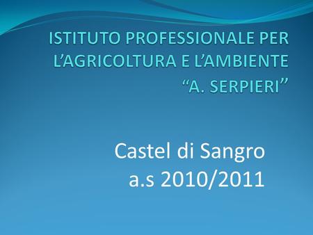 Castel di Sangro a.s 2010/2011. PREMESSA Questo progetto-laboratorio ha lo scopo di rendere consapevole lalunno dellenorme utilita che puo avere il.
