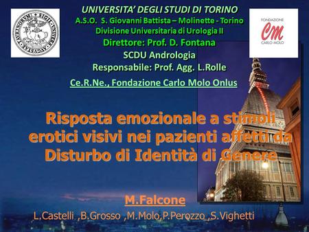 M.Falcone L.Castelli ,B.Grosso ,M.Molo,P.Perozzo ,S.Vighetti ,.