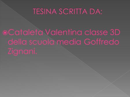 Cataleta Valentina classe 3D della scuola media Goffredo Zignani.