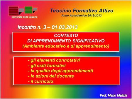 Tirocinio Formativo Attivo Anno Accademico 2012/2013 - gli elementi connotativi - gli esiti formativi - la qualità degli apprendimenti - le azioni del.