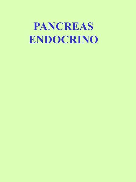PANCREAS ENDOCRINO.