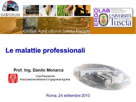 Vice Presidente Associazione Italiana di Ingegneria Agraria