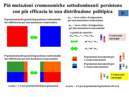 Più mutazioni cromosomiche sottodominanti persistono con più efficacia in una distribuzione politipica mc1 = tasso critico di migrazione per una mutazione.