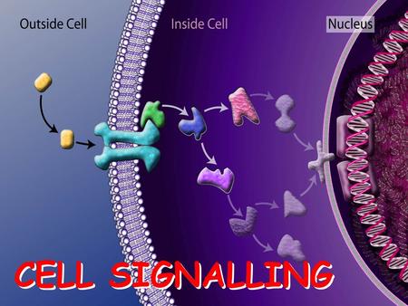 CELL SIGNALLING.