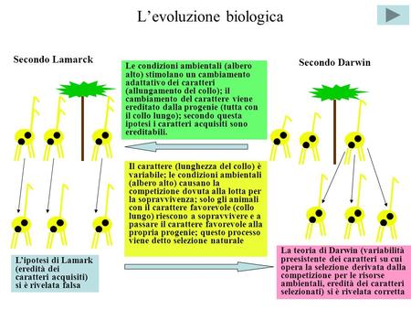 L’evoluzione biologica
