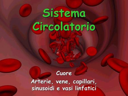 Cuore Arterie, vene, capillari, sinusoidi e vasi linfatici