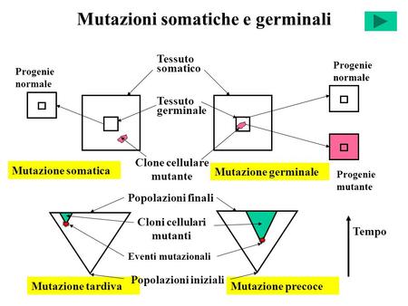 Mutazioni somatiche e germinali