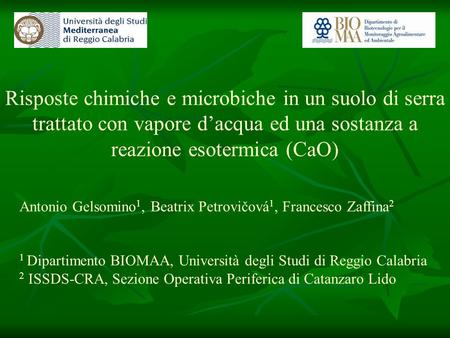 Risposte chimiche e microbiche in un suolo di serra trattato con vapore d’acqua ed una sostanza a reazione esotermica (CaO) Antonio Gelsomino1, Beatrix.