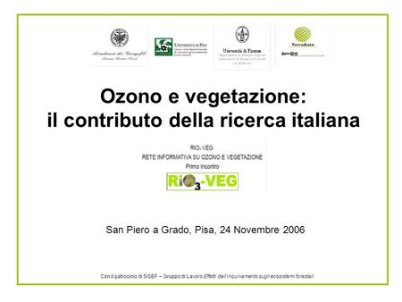 Ozono e vegetazione: il contributo della ricerca italiana San Piero a Grado, Pisa, 24 Novembre 2006 Con il patrocinio di SISEF – Gruppo di Lavoro Effetti.