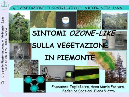 O 3 E VEGETAZIONE: IL CONTRIBUTO DELLA RICERCA ITALIANA I SINTOMI OZONE-LIKE SULLA VEGETAZIONE IN PIEMONTE Istituto per le Piante da Legno e lAmbiente.