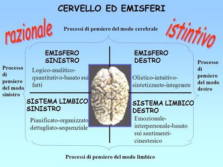 CERVELLO ED EMISFERI razionale istintivo EMISFERO SINISTRO